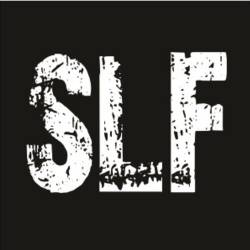 Scars From The Last Fight : Spider